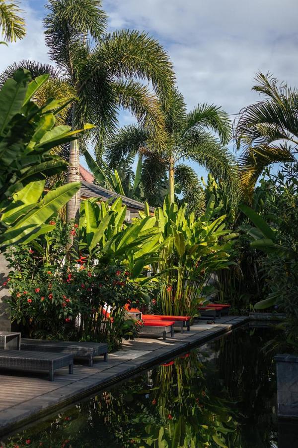 Le Chien Rouge Hotel Lovina  Exterior photo